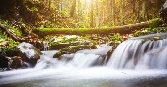 FlexVerk Friday | Feedback Loops For Stronger Report Performance